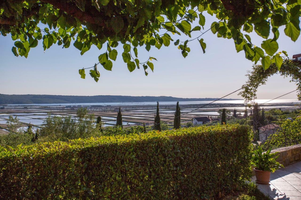 Apartment Stella Portoroz Bagian luar foto